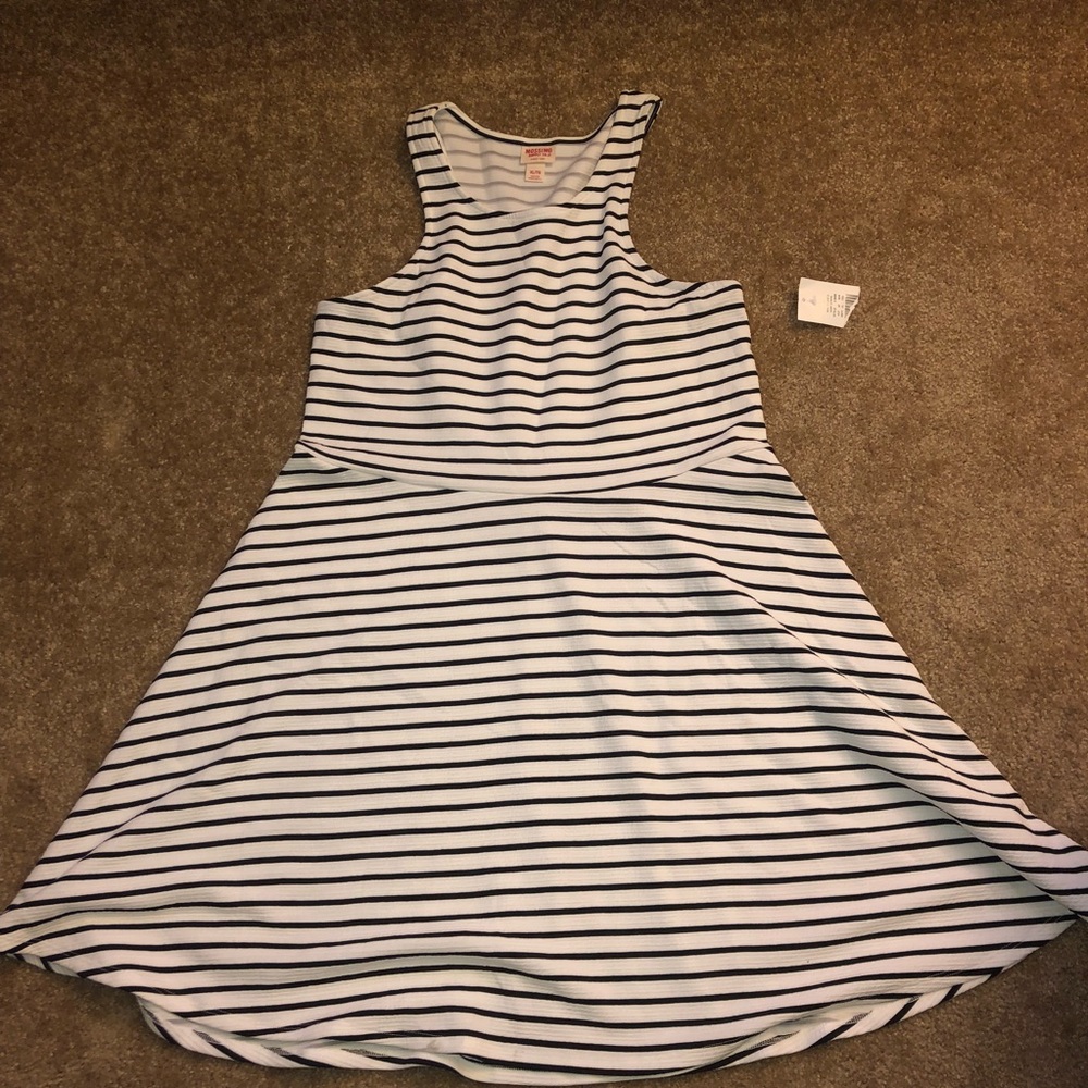 Striped Tank Skater Dress